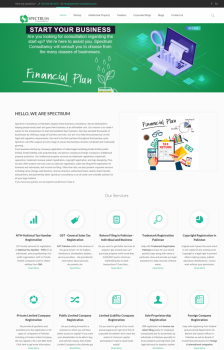 Client: Spectrum Tech -  Performed:  Digital Marketing