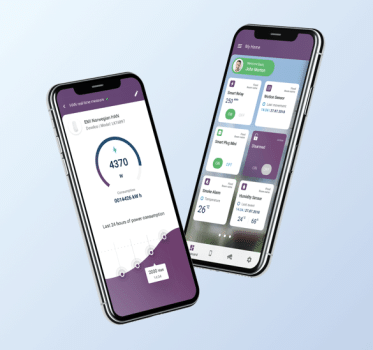 Onesti Smart Home/Security