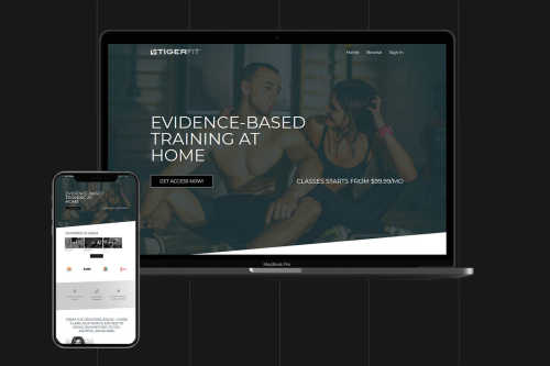 Design the Website from Scratch