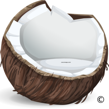 CocconApp