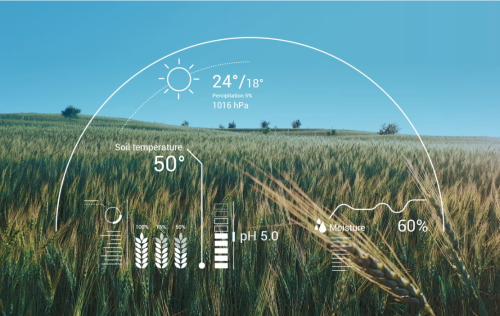 Crop yield prediction