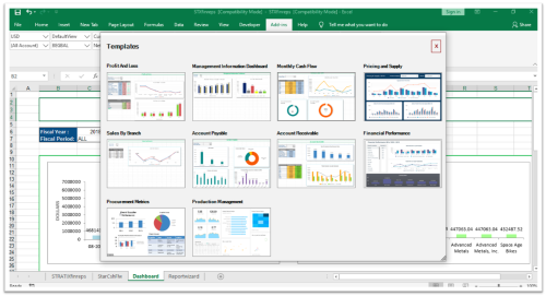 Excel Based Financial Reporting Software