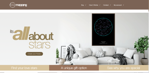 Ecommerce Website Development.