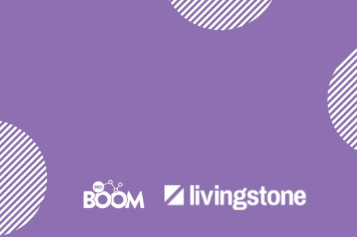 Livingstone - HubSpot Audit