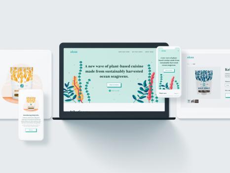 Akua Ecommerce Brand