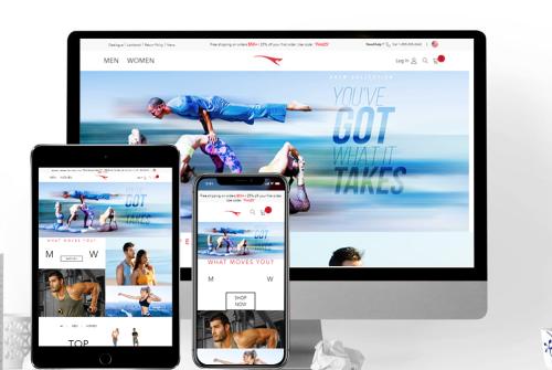 Website Designing & Development for Alanic