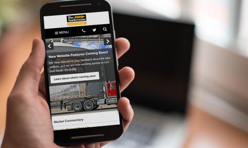 The Andersons Grain Group, Inc.