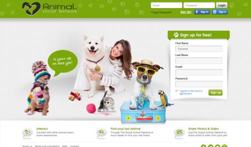Animal Social Network