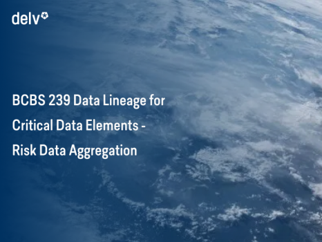 BCBS 239 Data Lineage for Critical Data Elements - Risk Data Aggregation