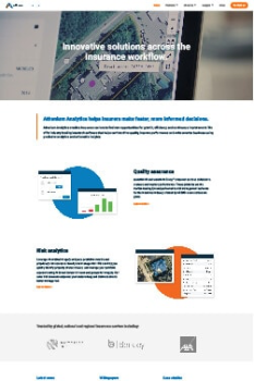 Software Company Redesign and Development