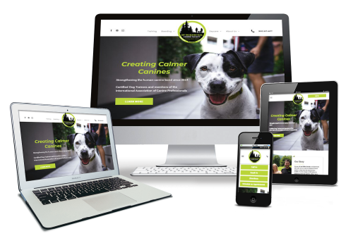 Web Design for Off the Beaten Trail Canine Facility