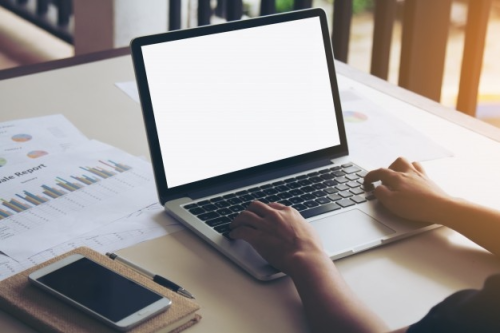 Web development