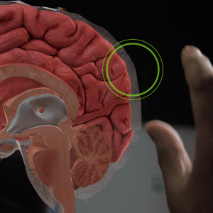 DWA - Immersive Medical Education