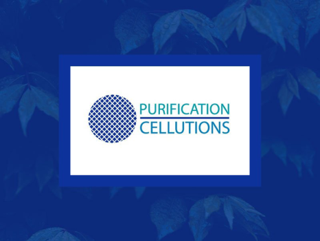 PURIFICATION CELLUTIONS – CONTINUOUS IMPROVEMENT