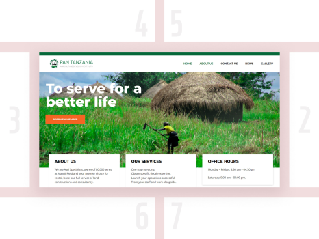 Pan Tanzania Website