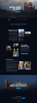 Friends of Notre Dame de Paris