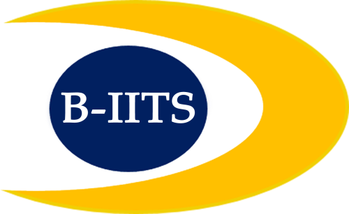 B-Informative IT Services Pvt. Ltd. SEO & Web Development
