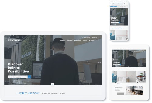 Development of a web platform that supports the national brand while adapting to local markets.