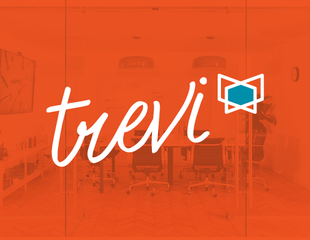 Branding for Start-Up trevi