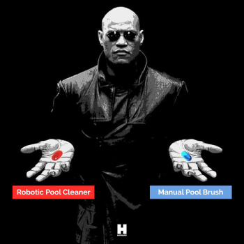 Social Media Creative
