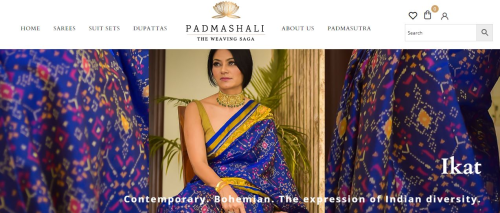 Website Development