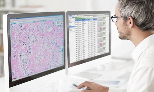 Digital Pathology Platform - Digital Healthcare