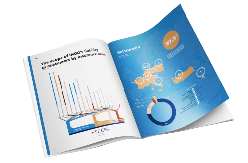 INGO 2018 Annual Report