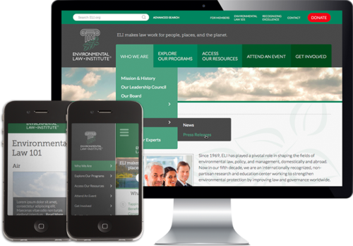 ELI Continuous Website Maintenance, Enhancement, Innovation & Integration
