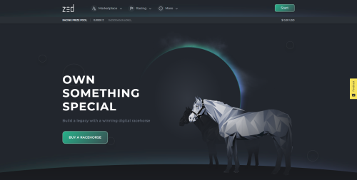 Zed.run - Digital Horse Racing