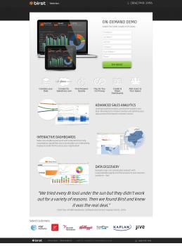 Birst landing pages