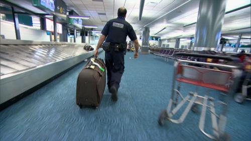 Airline and travel data processing