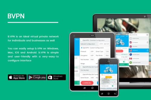 B.VPN
