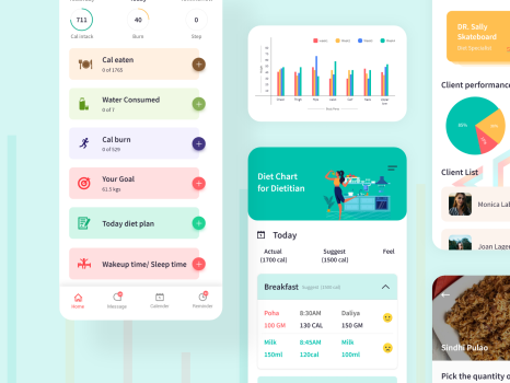 Diat chart flutter design