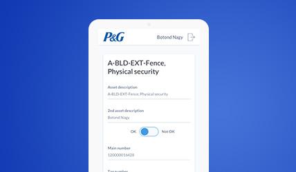 Cycle inventory counting application for P&G