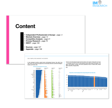 PRODUCTIVITY TOOL FOR INDEPENDENT PROFESSIONALS