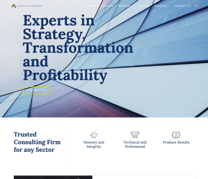 Ajani and Kimberly LTD Website Design