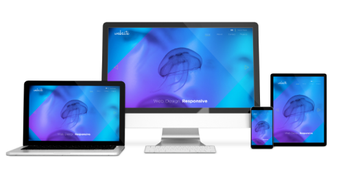 Website Design & Development