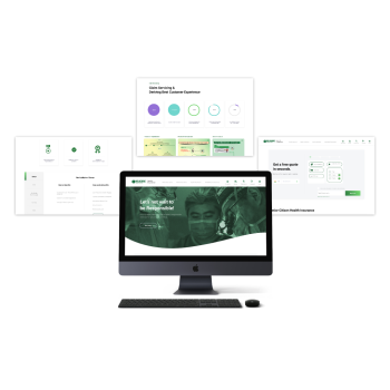 Euler Systems web development for Insurance