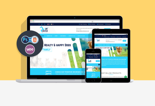 Website design and development