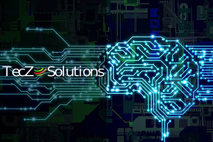 Teczo Solutions Web Development