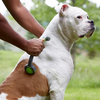 Dog Massager