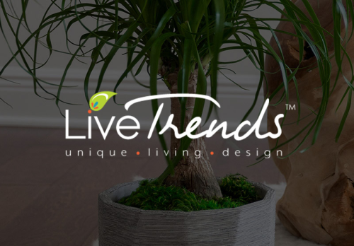 LiveTrends Design - Website Design & Web Application