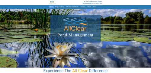 Website Design