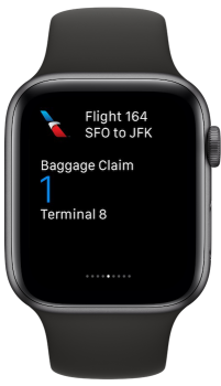 American Airlines
