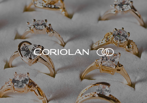 B2B platform for Coriolan