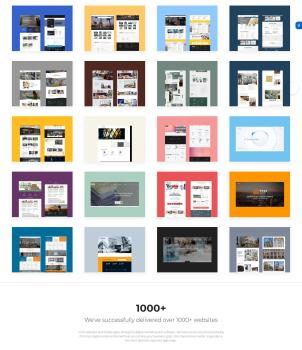 We've successfully delivered over 1000+ websites