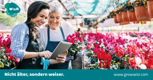 Launching WisR: Filling the skills shortage with senior talent