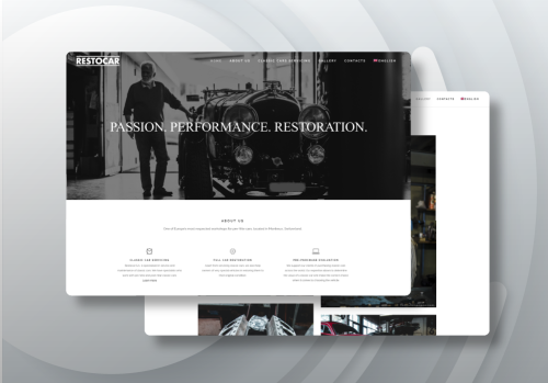 Wed Development for a local business in Switzerland