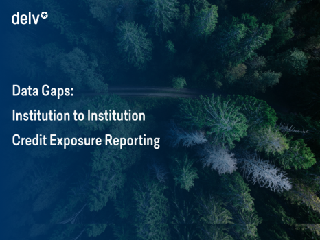 Data Gaps: Institution to Institution Credit Exposure Reporting