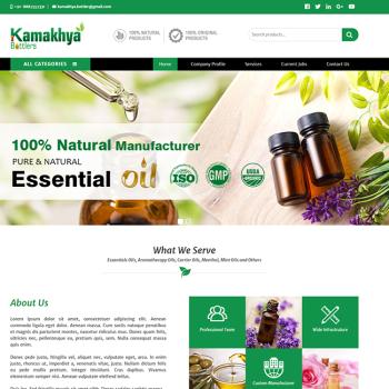 Website Design